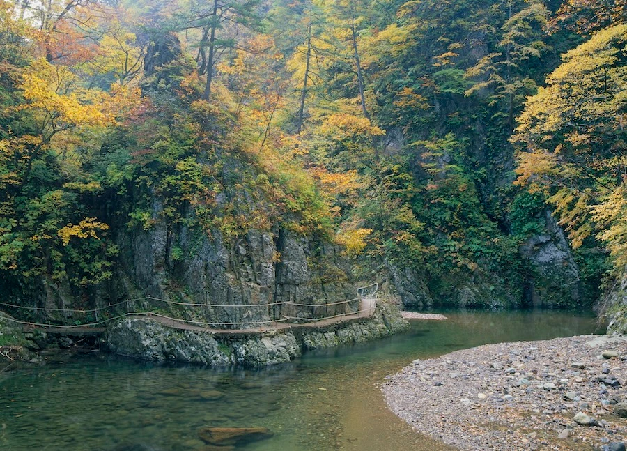 Forest-lined river with a suspension bridge along the Anmon River in Aomori, Japan.