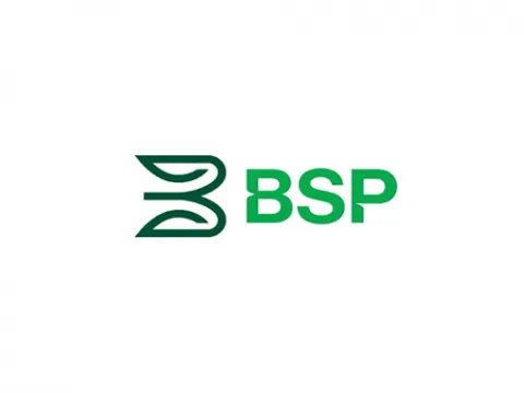 BSP