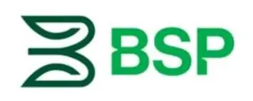 BSP Financial