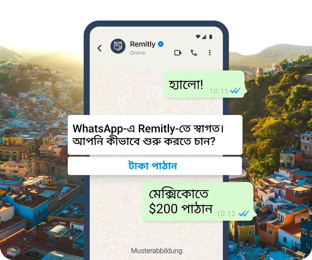 হোয়াটসঅ্যাপে সিমুলেটেড কথোপকথনের বুদবুদগুলি একজন গ্রাহককে দেখায় যিনি একটি স্থানান্তর শুরু করতে চান৷