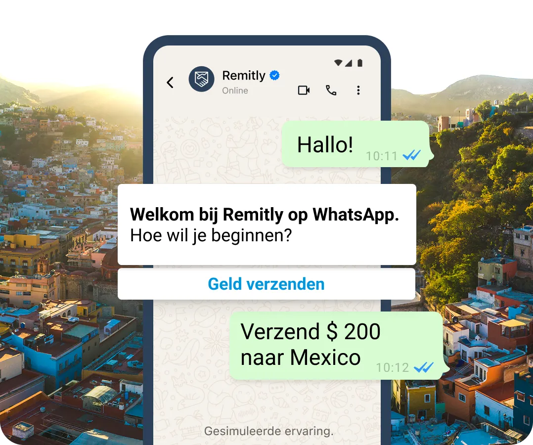 Gesimuleerd WhatsApp-gesprek waarin een klant een overschrijving wil starten.