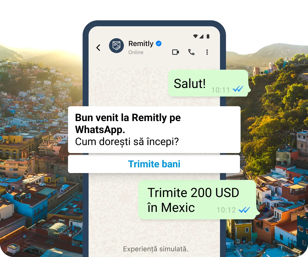 Bule de conversație simulate în WhatsApp care arată un client care dorește să inițieze un transfer.