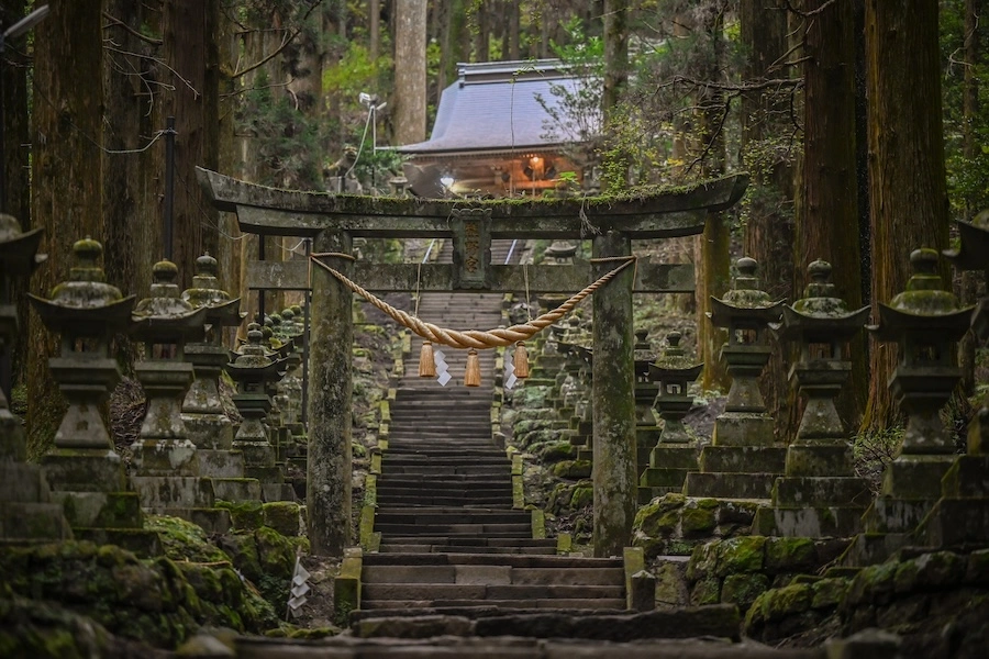 Shinto shrine and torii gate among cedar trees in Kumamoto, Japan.