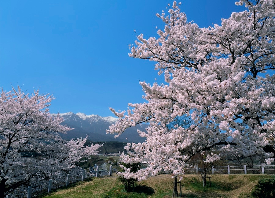 Rolling green farmland and traditional rural landscape in Nakagawa, Kamiina district, Nagano.